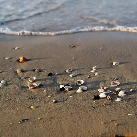 Beachside Tranquility In Our Flat In 公寓