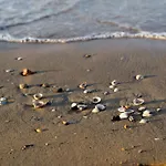 Beachside Tranquility In Our Flat In Bibione