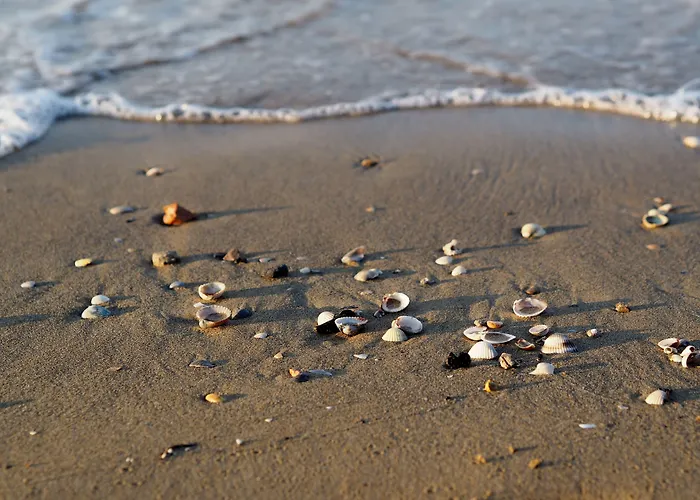 Beachside Tranquility In Our Flat In Apartamento
